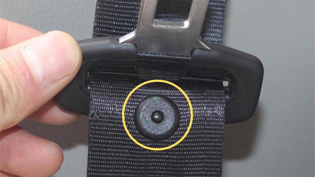 Bottone segreto nella cintura di sicurezza, non è come pensi: serve solo a  questo