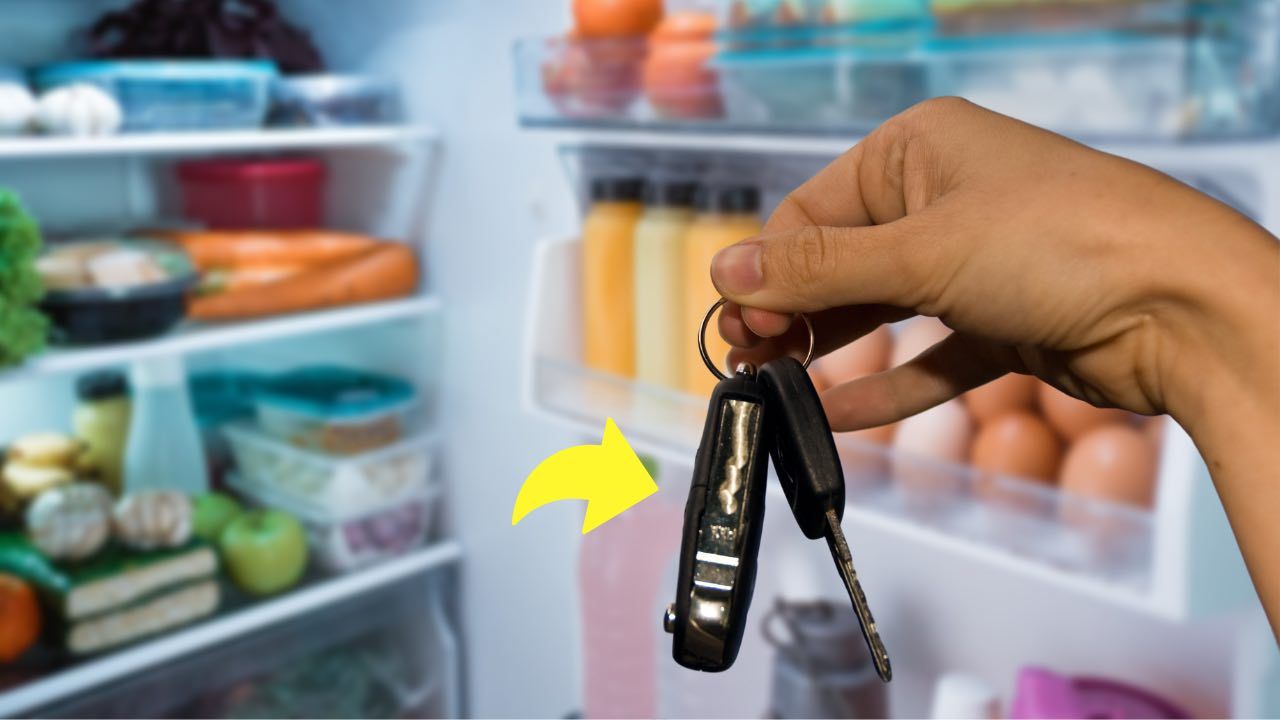 Car keys in the fridge