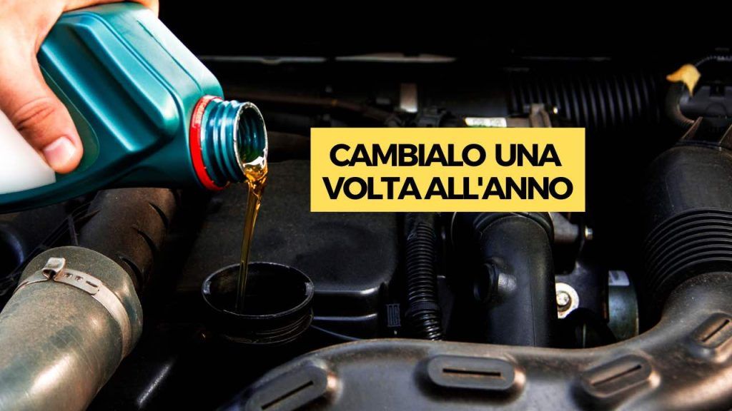 olio motore