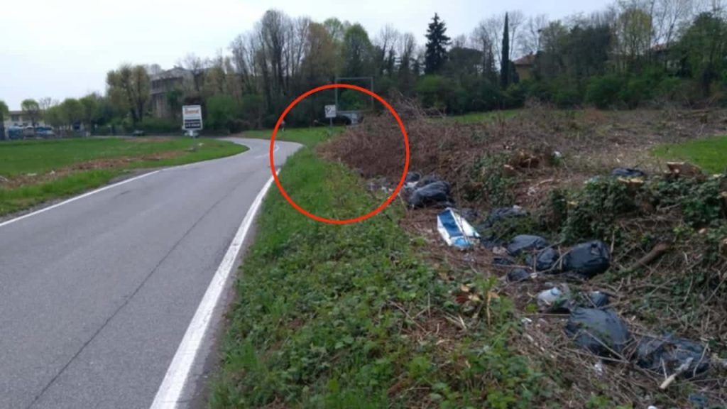 Vedono qualcosa sul ciglio della strada